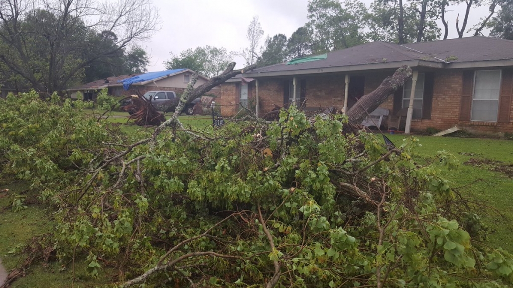 storm wind damage cleanup toronto